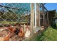 435 King Street, Caboolture QLD 4510
