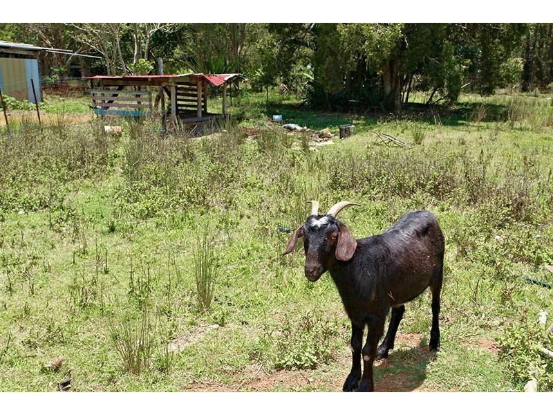 435 King Street, Caboolture QLD 4510