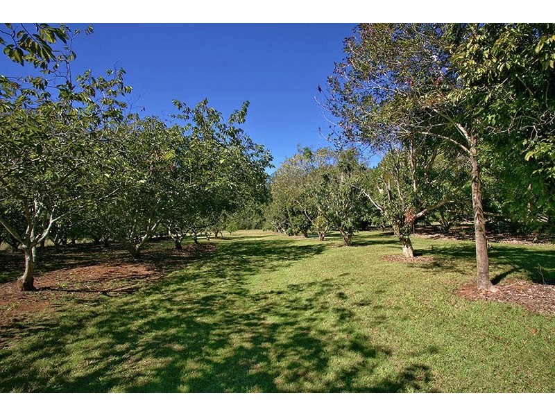 183 Tinney Road, Upper Caboolture QLD 4510