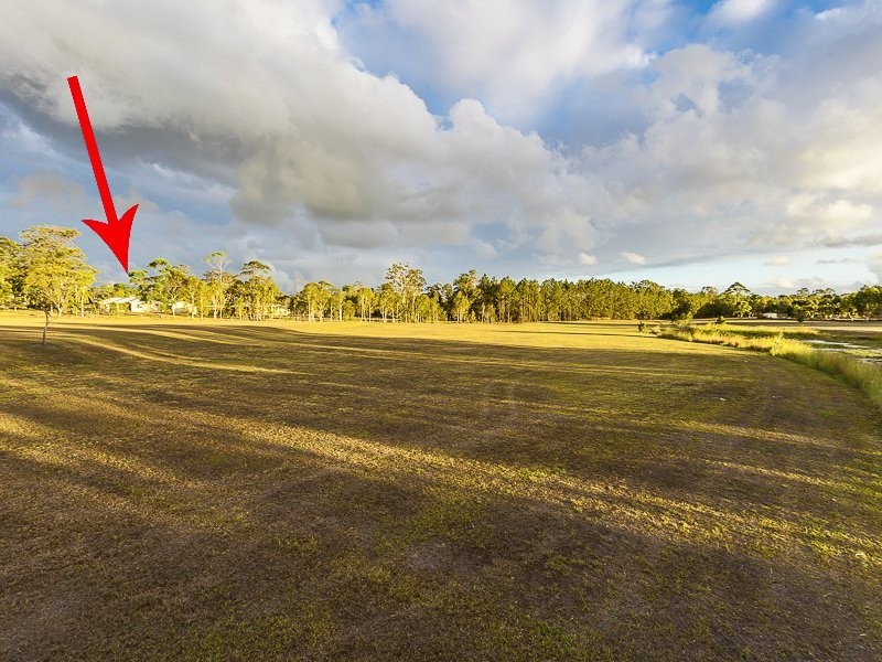 115 Hall Road, Elimbah QLD 4516