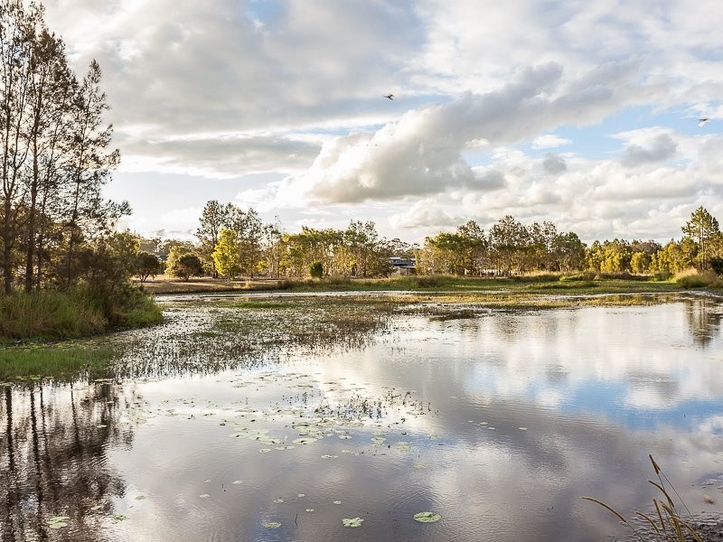 115 Hall Road, Elimbah QLD 4516