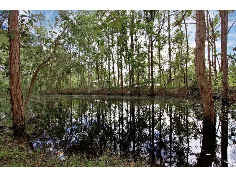 81 Alcock Road, Elimbah QLD 4516