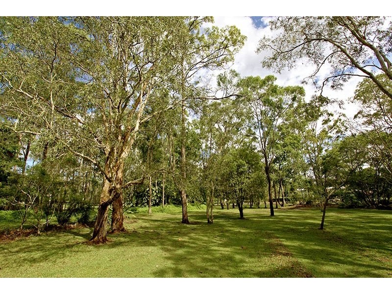 81 Alcock Road, Elimbah QLD 4516