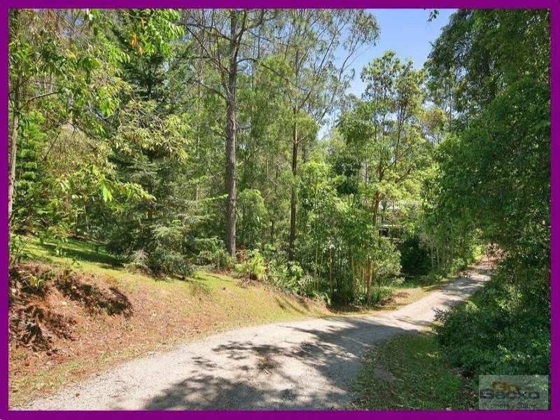 1 Tallgum Avenue, Eumundi QLD 4562