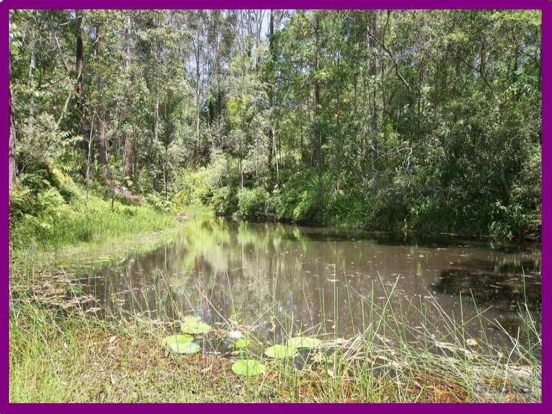 1 Tallgum Avenue, Eumundi QLD 4562