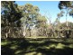 Lot 7, 55 South Lane, Kyneton VIC 3444