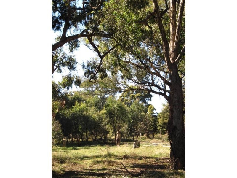 Lot 7, 55 South Lane, Kyneton VIC 3444
