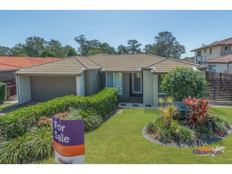 37 Cyperus Crescent, Carseldine QLD 4034