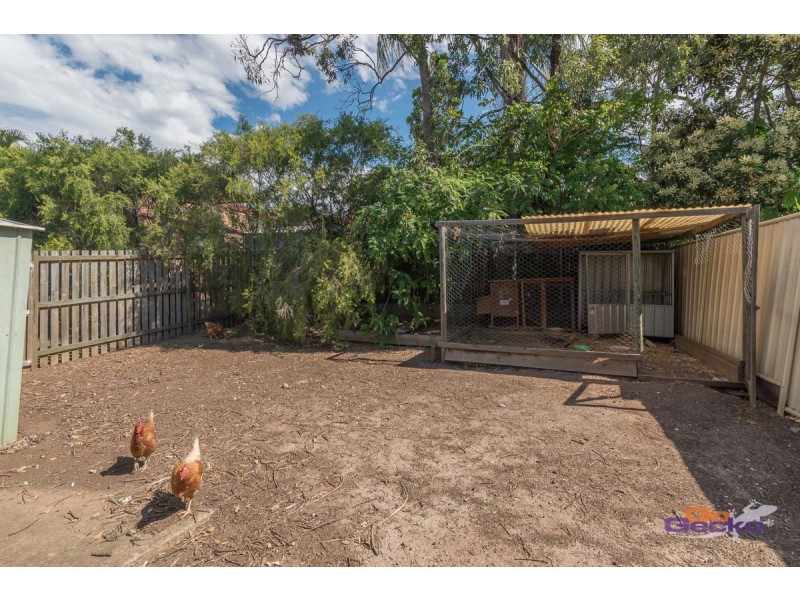 746 Beams Road, Carseldine QLD 4034