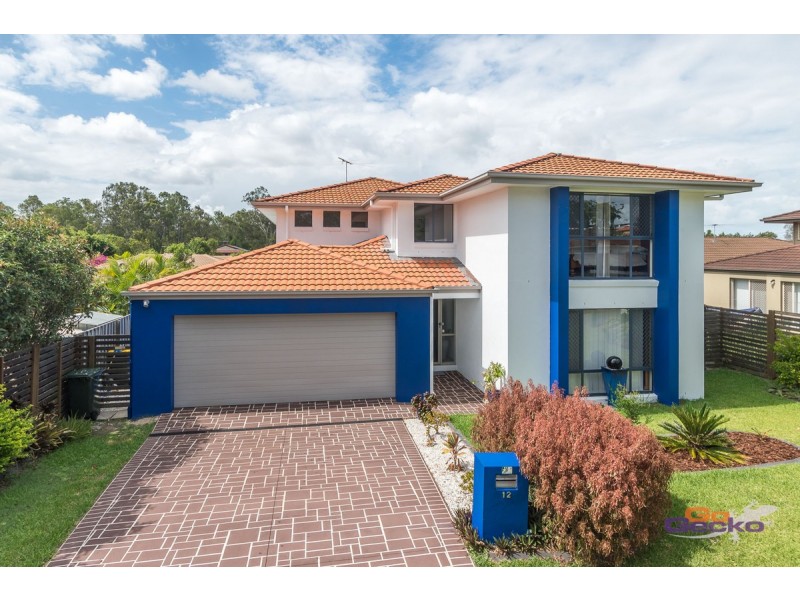 12 Cyperus Crescent, Carseldine QLD 4034