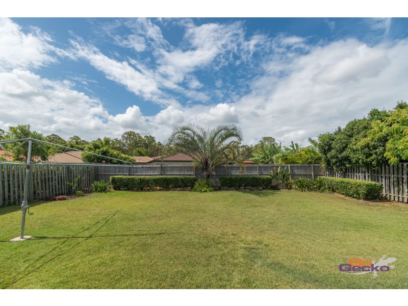 12 Cyperus Crescent, Carseldine QLD 4034