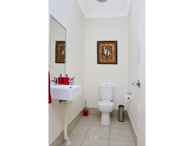 166 Alexandra Road, Clayfield QLD 4011