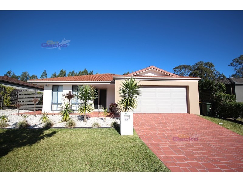 36 Macaranga Crescent, Carseldine QLD 4034