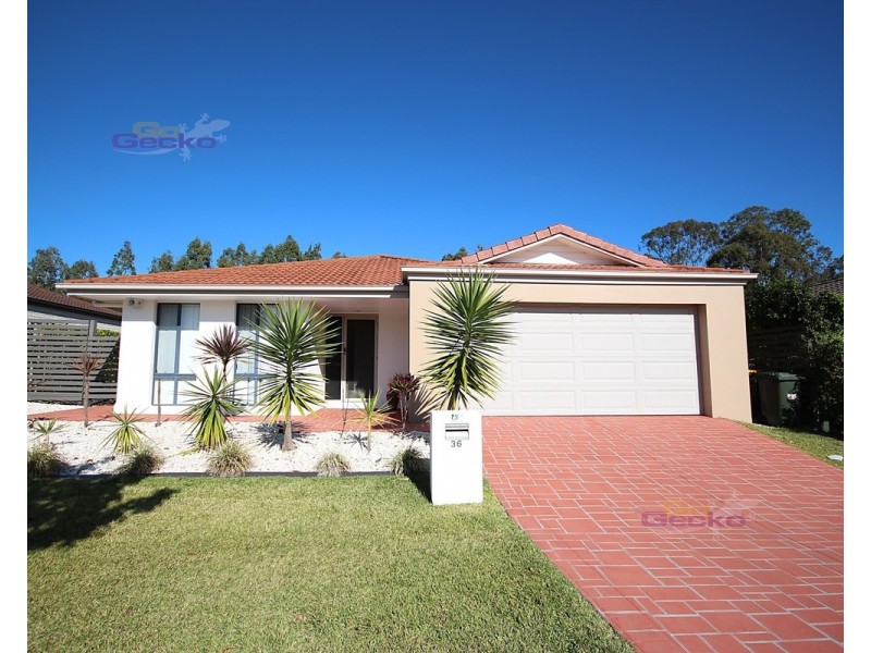36 Macaranga Crescent, Carseldine QLD 4034