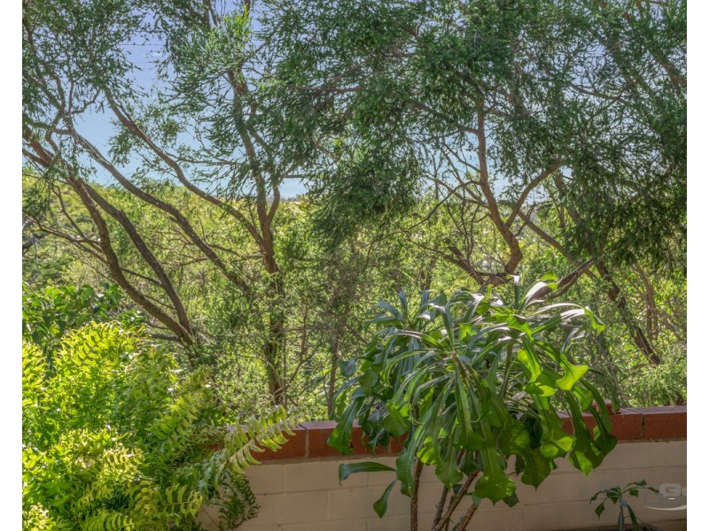 9/36 Junction Road, Clayfield QLD 4011