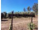 Lot 3,  Pamela Drive, Teelah QLD 4306