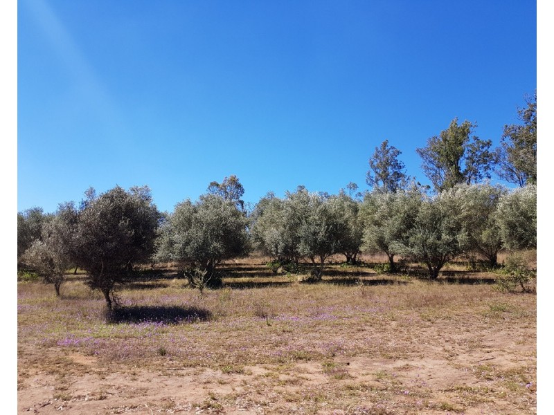Lot 3,  Pamela Drive, Teelah QLD 4306