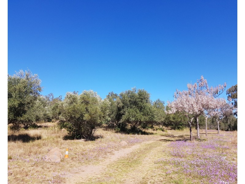 Lot 3,  Pamela Drive, Teelah QLD 4306