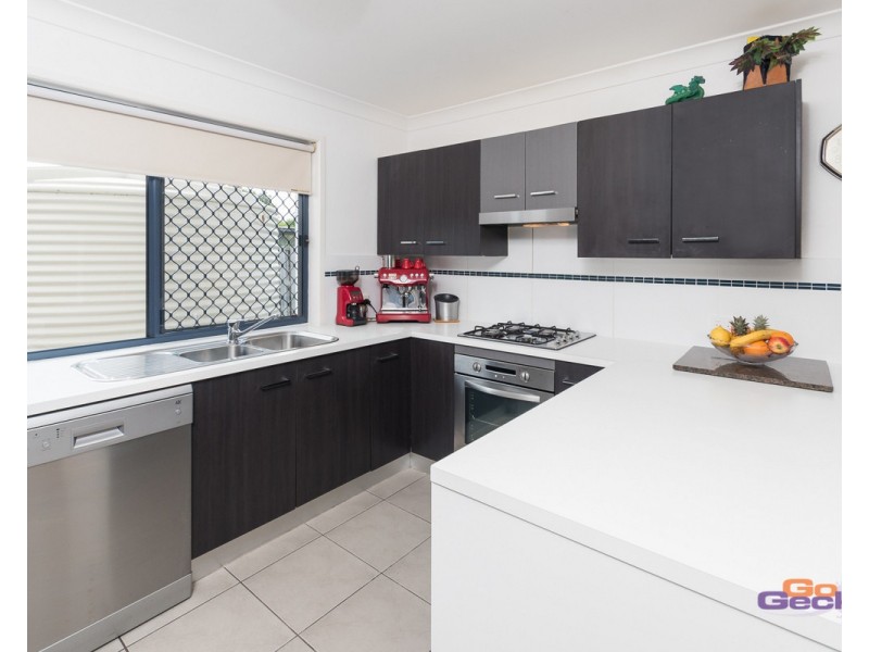 12 Cyperus Crescent, Carseldine QLD 4034