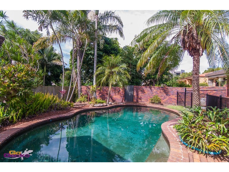 49 Tintara Street, Carseldine QLD 4034