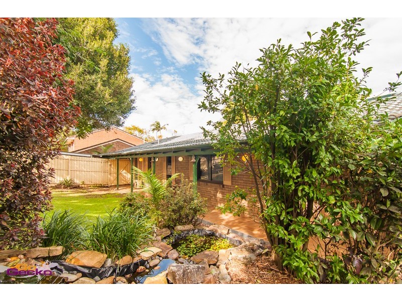 6 Lexia Place, Carseldine QLD 4034