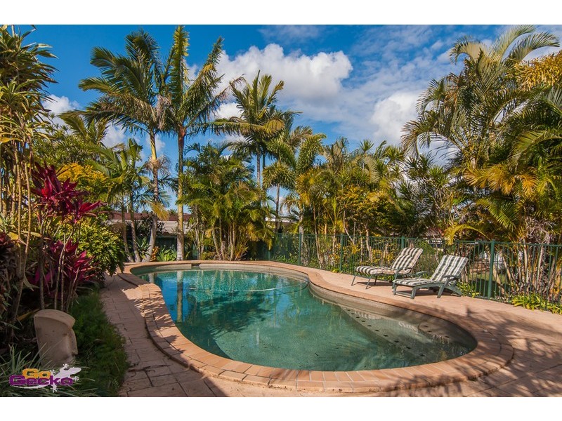 47 Janie Street, Aspley QLD 4034