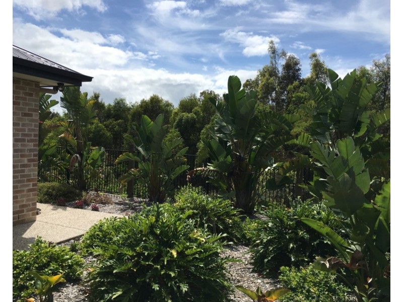 52 Ravensbourne Crescent, North Lakes QLD 4509