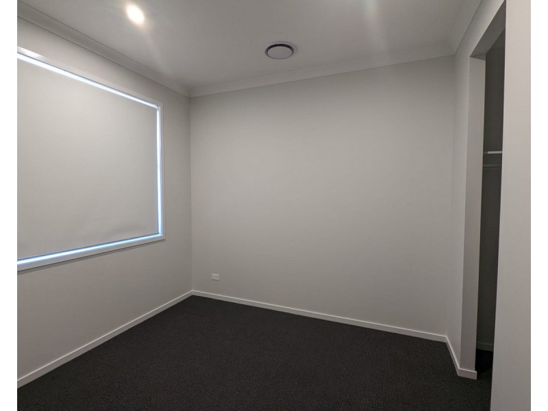 51 Delta Street, Newport QLD 4020