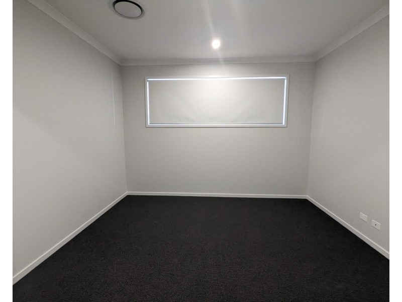 51 Delta Street, Newport QLD 4020