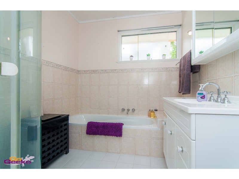 19 St Conel Street, Nudgee QLD 4014