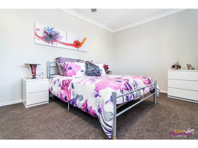 41 Gladstone Street, Brighton QLD 4017