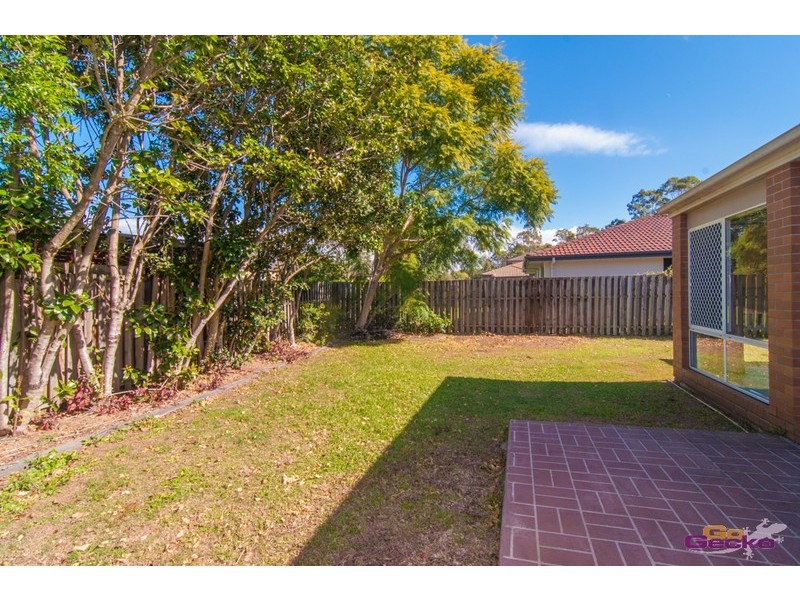 51 Macaranga Crescent, Carseldine QLD 4034