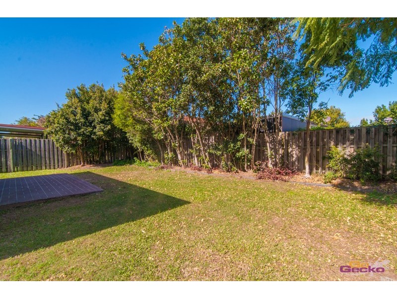 51 Macaranga Crescent, Carseldine QLD 4034