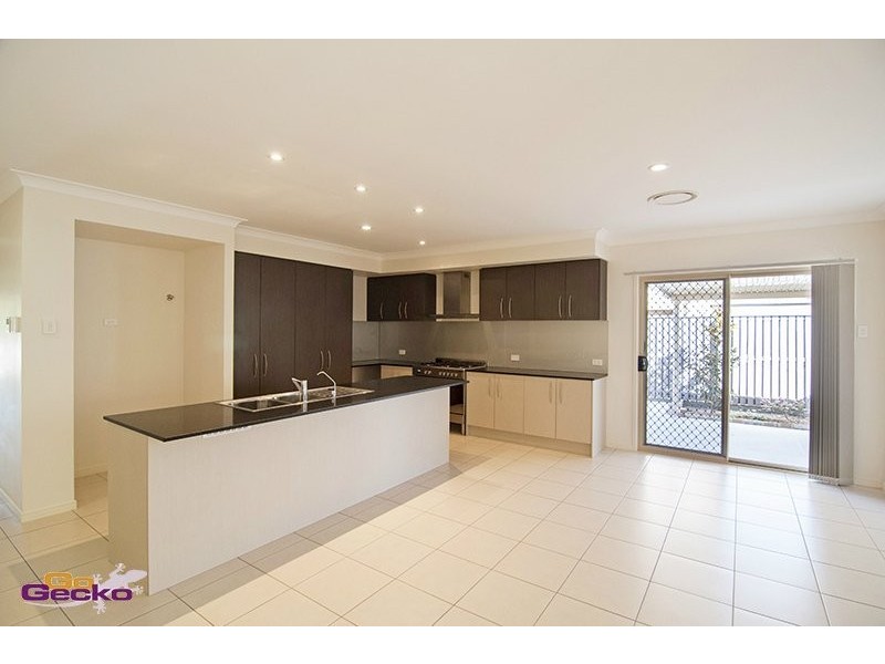 45 Raynbird Pl, Carseldine QLD 4034