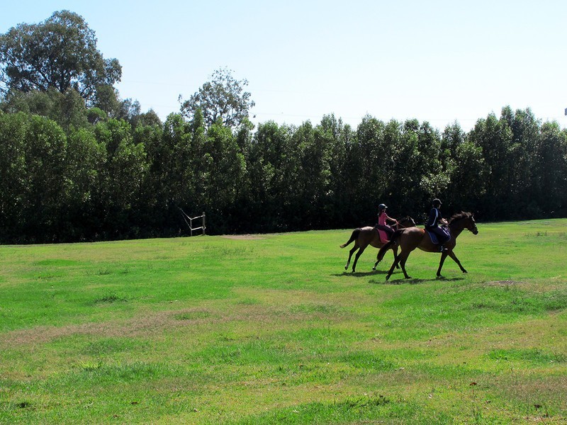 90 Beelarong Street, Morningside QLD 4170