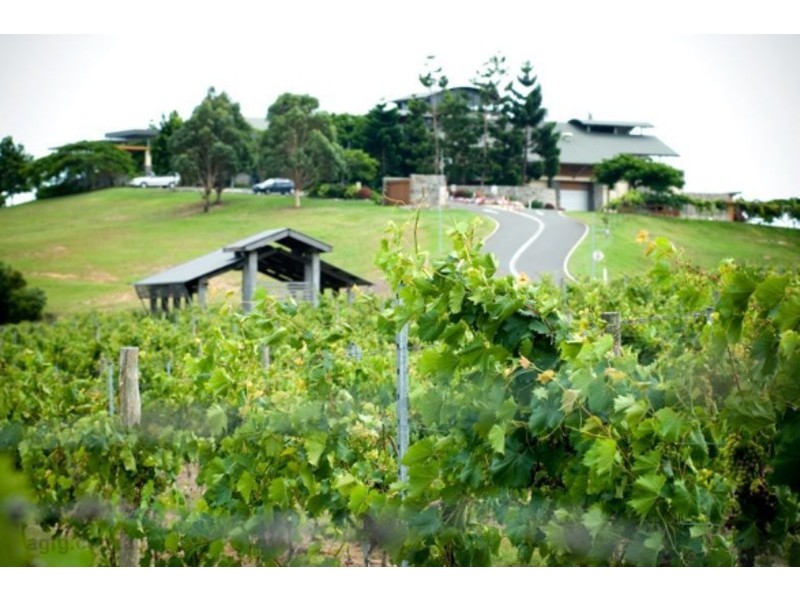 56 Coolnwynpin Way, Capalaba QLD 4157