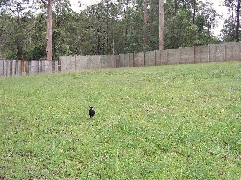 Lot 56, 2 Woolshed Street, Ferny Hills QLD 4055