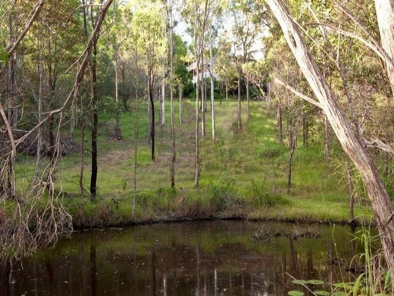 4 Springfield Court, Wights Mountain QLD 4520