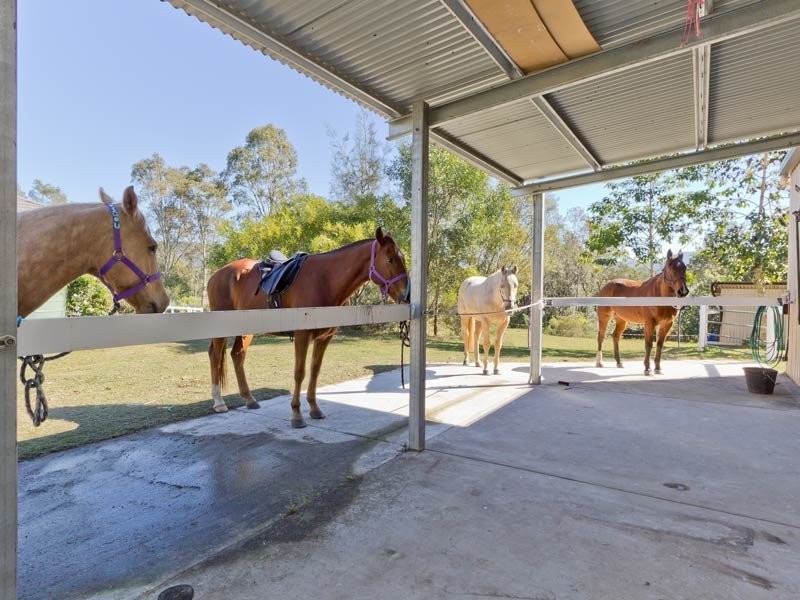 12 Davison Road, Camp Mountain QLD 4520
