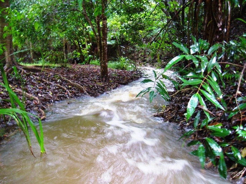 6 Birdwood Drive, Samford Valley QLD 4520