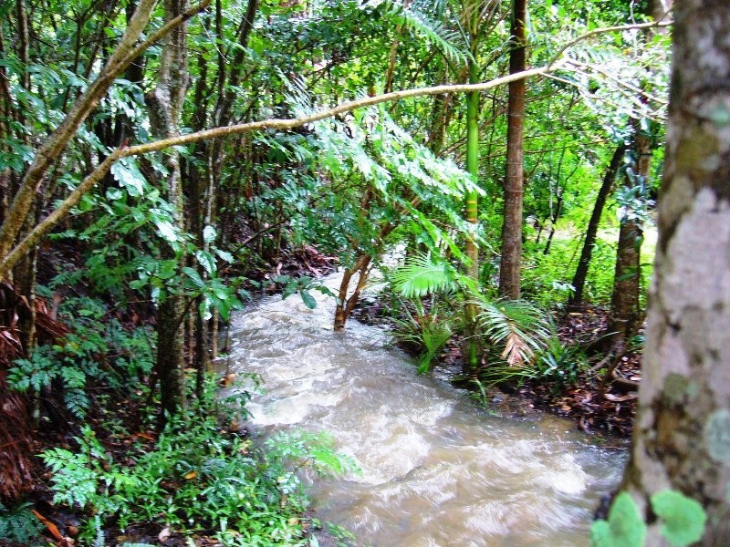 6 Birdwood Drive, Samford Valley QLD 4520