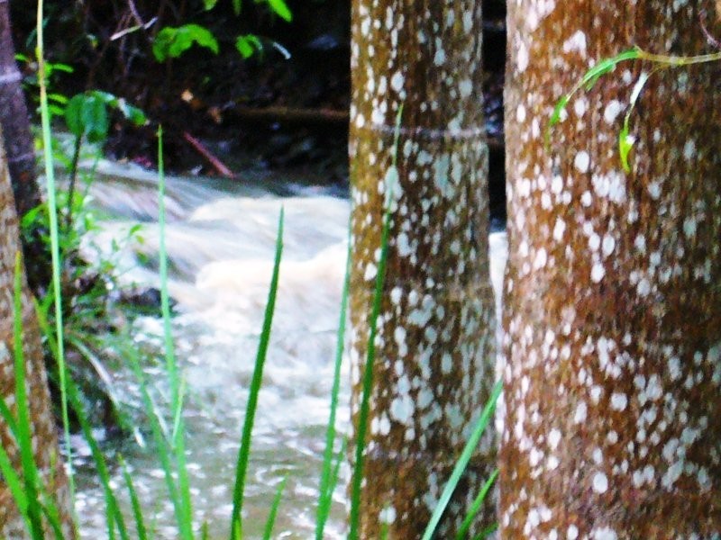 6 Birdwood Drive, Samford Valley QLD 4520