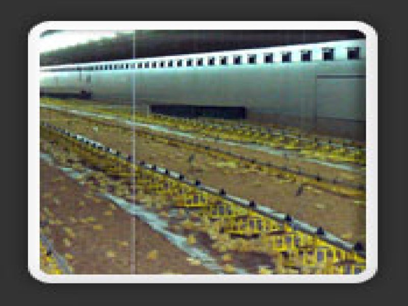 871 Ipswich Boonah Road, Purga QLD 4306