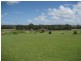 557 Ipswich Boonah Road, Purga QLD 4306