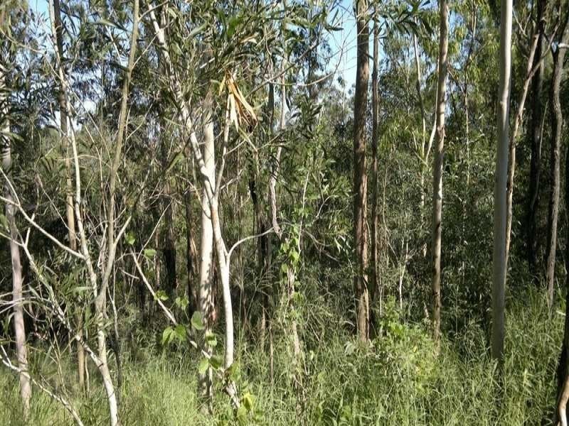 2 Quahlee Grove, Karana Downs QLD 4306