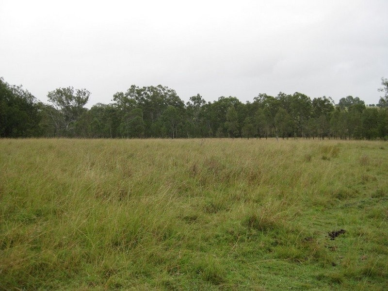 457 Mt Forbes Road, Mount Forbes QLD 4340