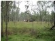 457 Mt Forbes Road, Mount Forbes QLD 4340