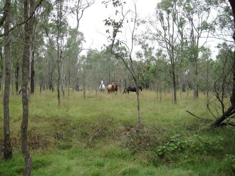 457 Mt Forbes Road, Mount Forbes QLD 4340