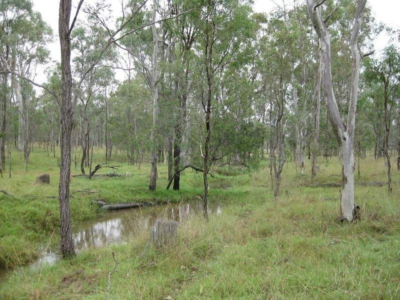 457 Mt Forbes Road, Mount Forbes QLD 4340
