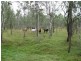 457 Mt Forbes Road, Mount Forbes QLD 4340